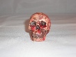 Skulls Enlarged