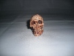Skull Enlarged