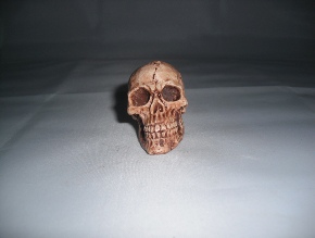 Skulls